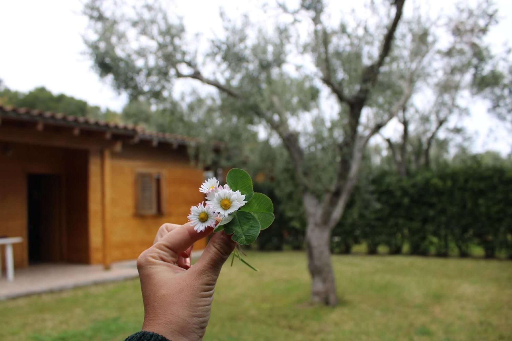 Agriturismo Lu Podere Alimini Exterior photo