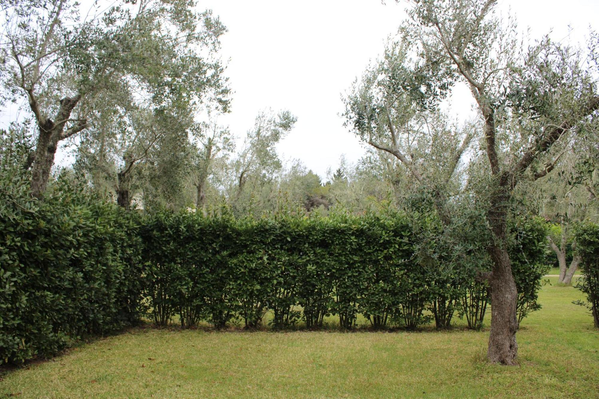 Agriturismo Lu Podere Alimini Exterior photo